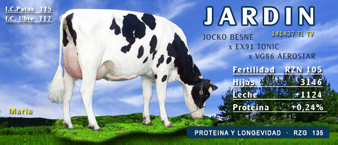 BAS·GGI | 328422 JARDIN