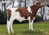 TOP VENTAS BASGGI 2012 | MIND P 917382