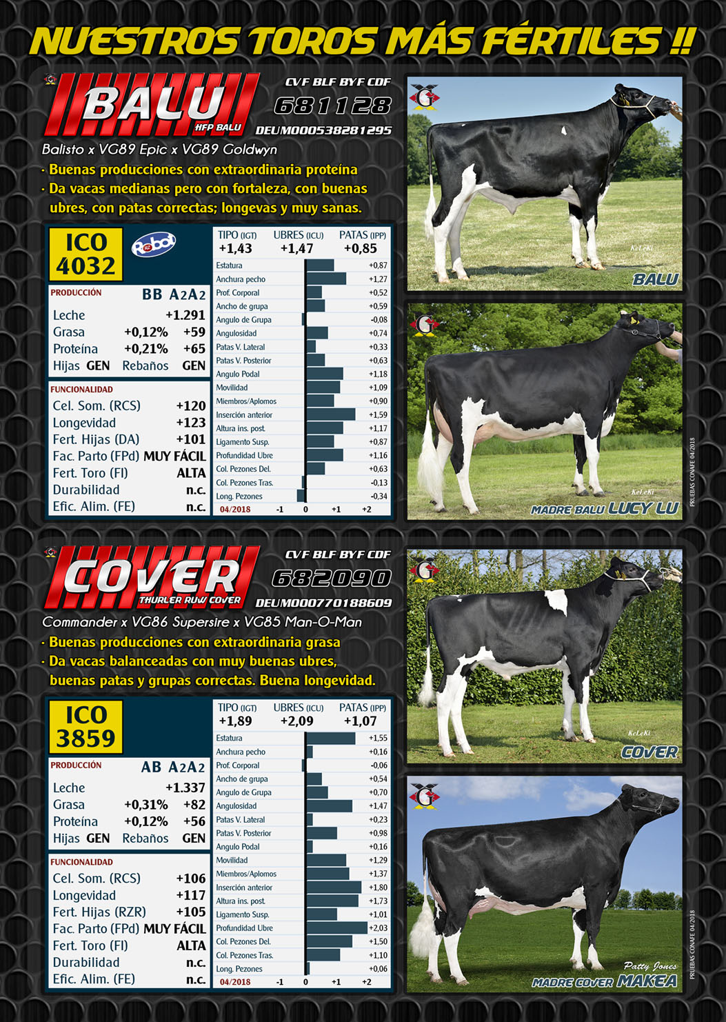 BAS&middot;GGI - Toros MUY FERTILES para Verano !!