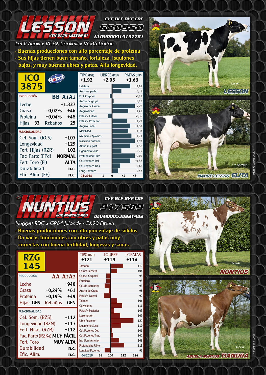 BAS&middot;GGI - Toros MUY FERTILES para Verano !!