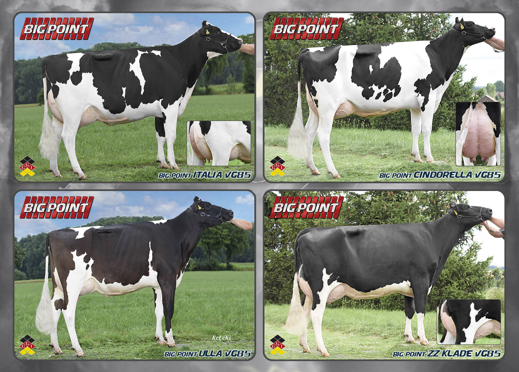 El NUMERO 1 � BIG POINT � LIDER PROBADO CON HIJAS!!