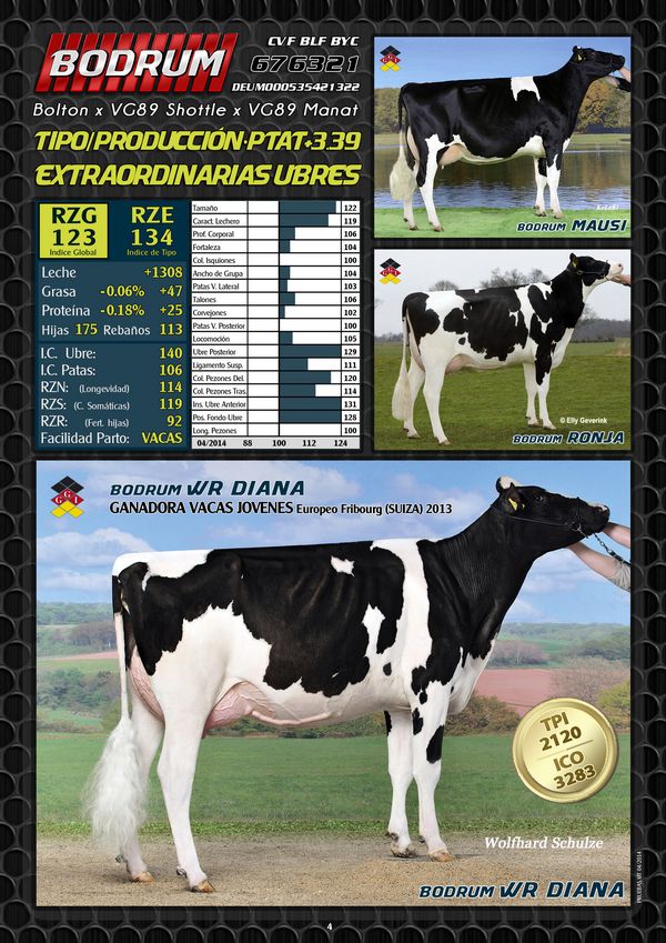 BAS·GGI | HOLSTEIN INTERNATIONAL | 676321 BODRUM