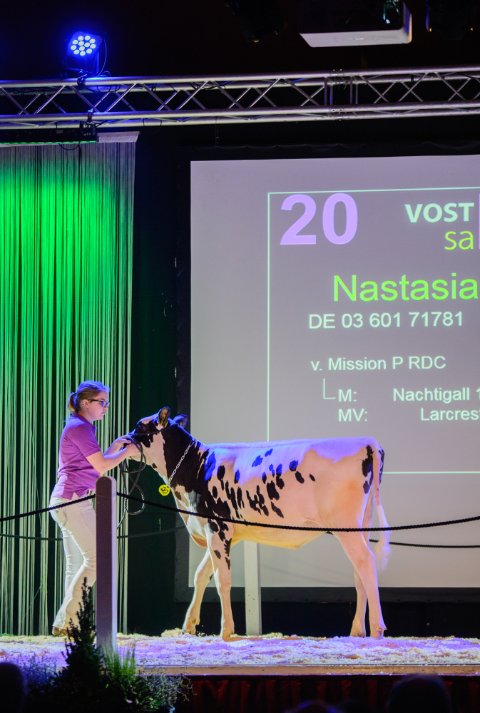 NASTASIA, hija de MISSION P vendida por 11.500 &euro; en VOSt Select Sale 5