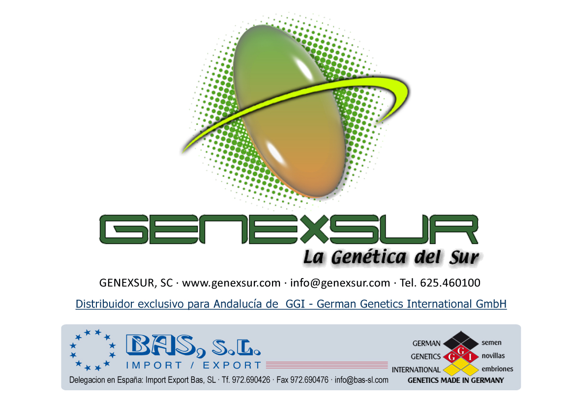 BAS·GGI | GENEXSUR, SC