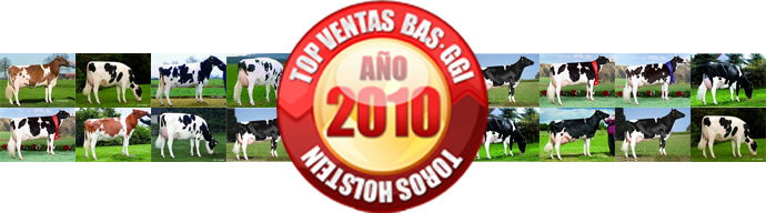 TOP VENTAS 2010