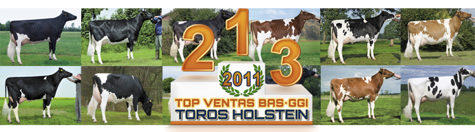 TOP VENTAS 2011