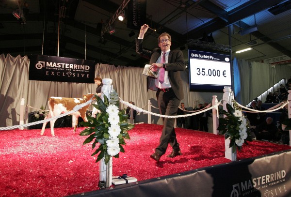 SUNBIRD, hija de APOLL P vendida por 35.000 &euro;