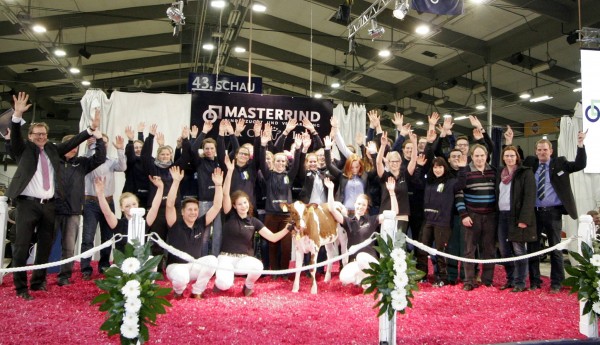 SUNBIRD, hija de APOLL P vendida por 35.000 &euro;