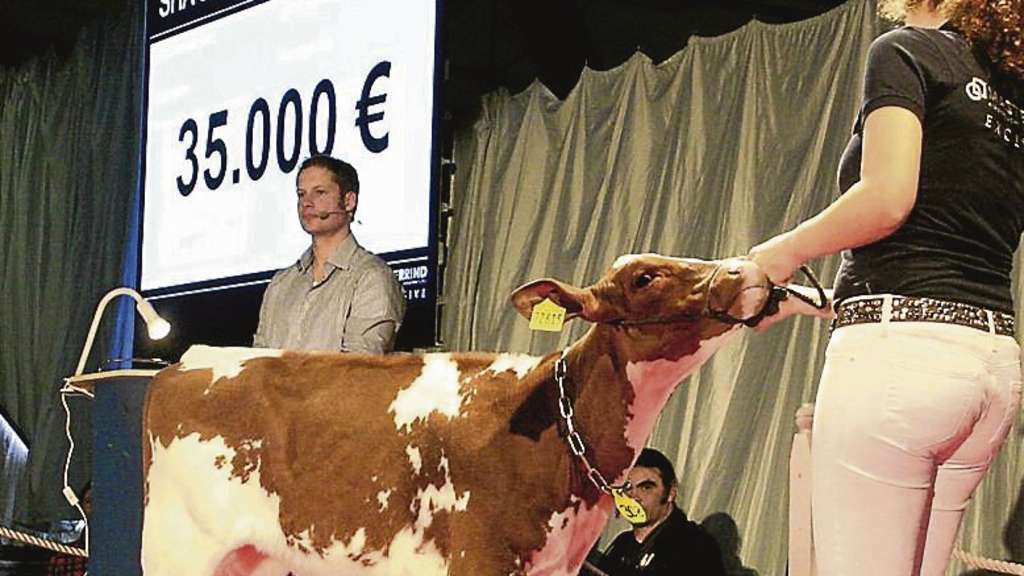 SUNBIRD, hija de APOLL P vendida por 35.000 &euro;