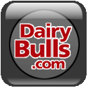 Pagina de Dairy Bulls - USA