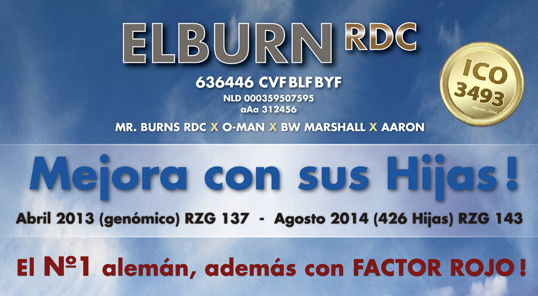 BAS·GGI - 636446 ELBURN RDC 